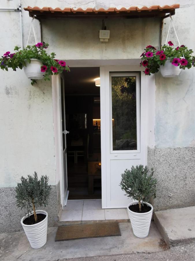 Apartment With Garden Vela Luka Exterior photo