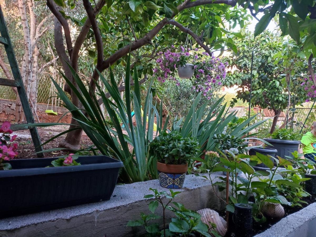 Apartment With Garden Vela Luka Exterior photo